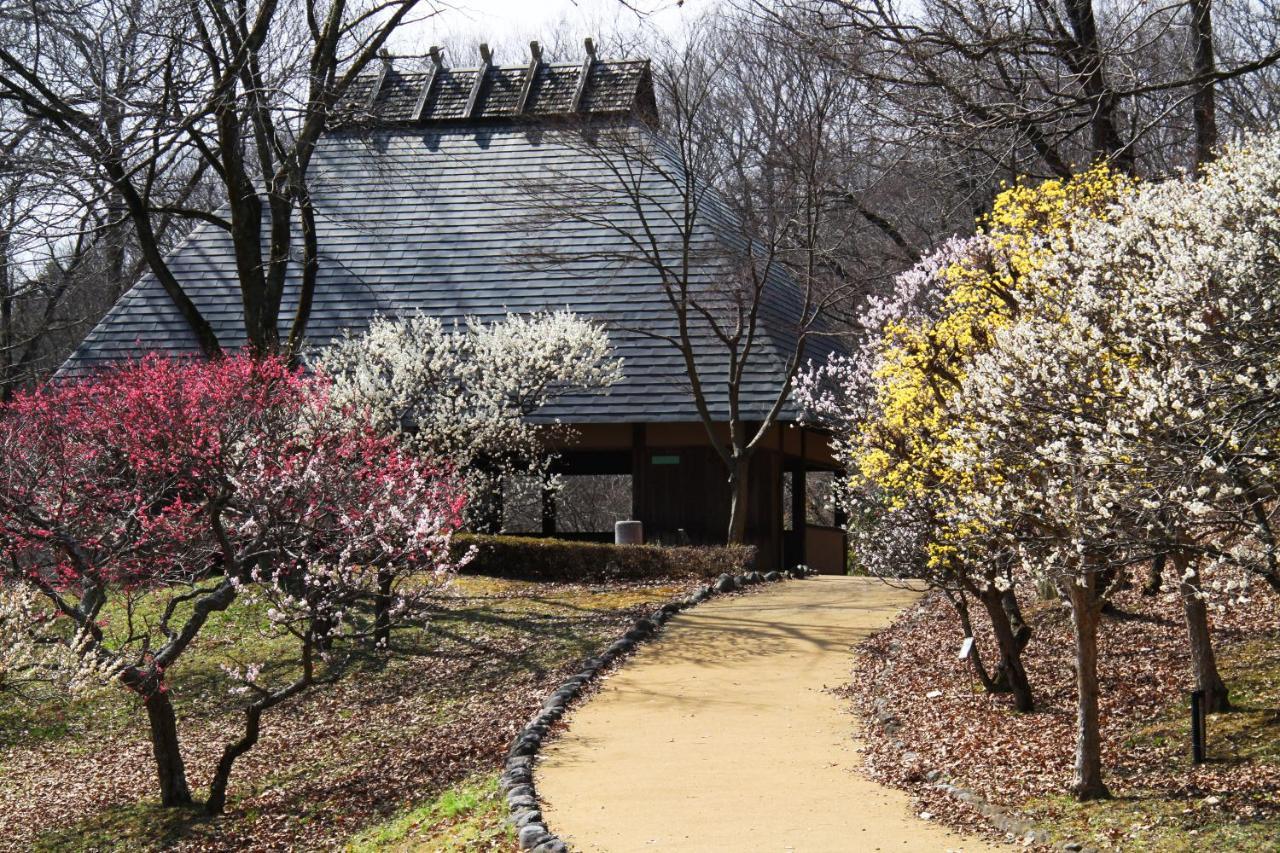 Ikoi No Mura Heritage Minoyama Minano Extérieur photo