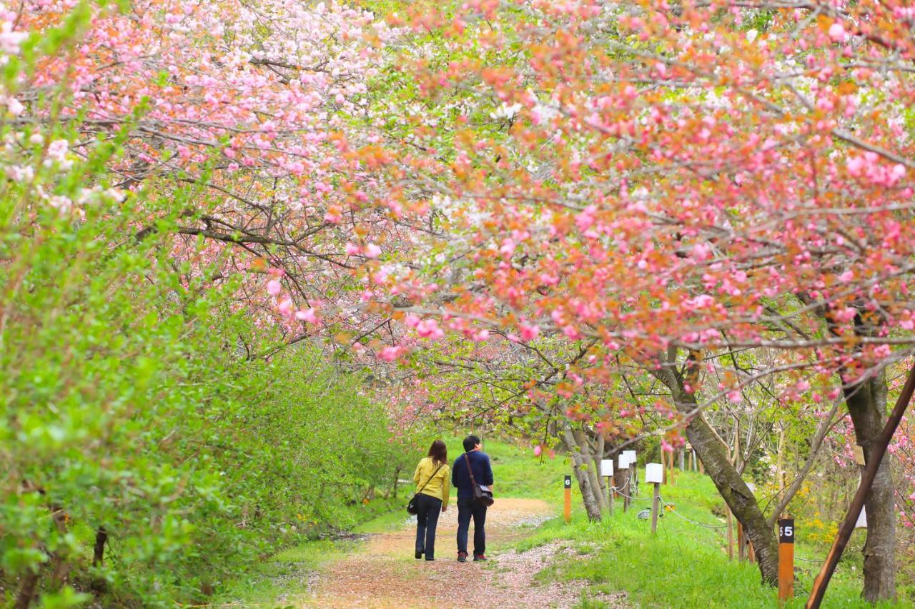 Ikoi No Mura Heritage Minoyama Minano Extérieur photo